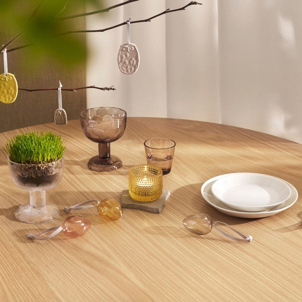 IITTALA / カルティオシリーズ グラス