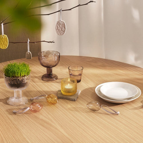 IITTALA / カルティオシリーズ グラス
